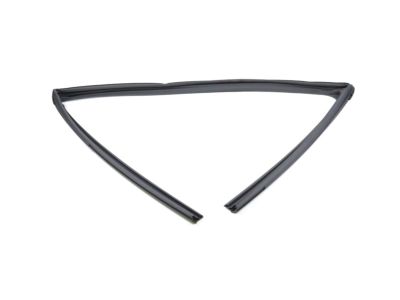 Mopar 68285727AE Run Weatherstrip, Front Driver Side