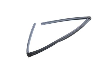 Mopar 68285727AE Run Weatherstrip, Front Driver Side