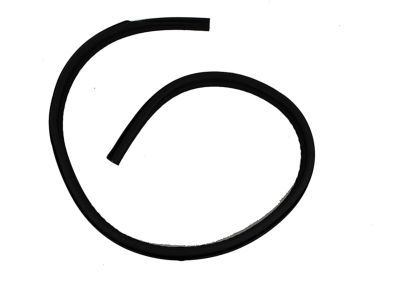 Ram 55112026AC Drip Molding