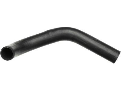 Dodge 52028010 Lower Hose