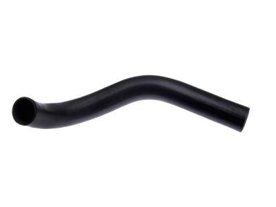 Dodge 52028010 Lower Hose