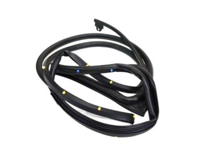 Ram 55112374AC WEATHERSTRIP Rear Door Mounted