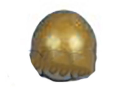 Jeep 52118261 BALL Check