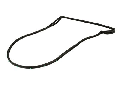 Mopar 68040046AK Weatherstrip Rear Door Mounted