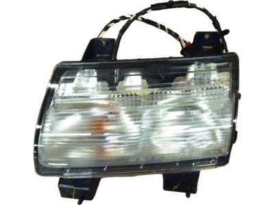 Mopar 68293127AG Lamp Parking And Turn Signal