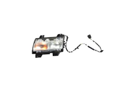 Mopar 68293127AG Lamp Parking And Turn Signal