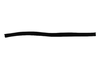 Dodge Magnum Door Seal - 5065160AF