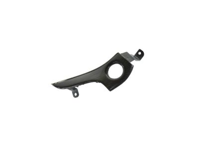 Mopar 6LB77AAAAA Applique Instrument Panel Passenger