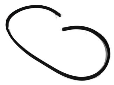 Jeep 68184800AB Weatherstrip On Body