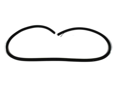 Jeep 68184800AB Weatherstrip On Body