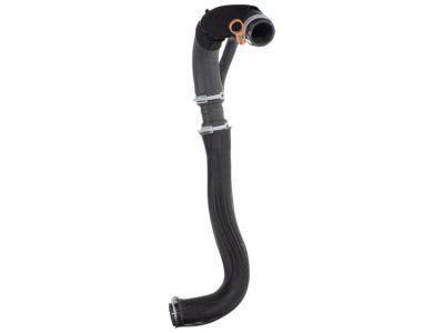 Dodge 4598103AE HOSE AND CLAMP Radiator Outlet
