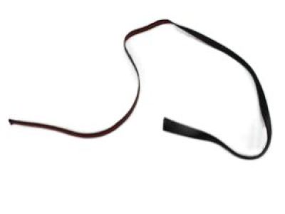 Dodge 4860839AC MOLDING Roof