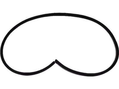 Mopar 5074647AE Weatherstrip Rear Door Body Mounted