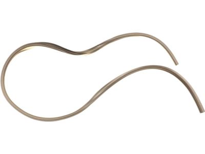 Mopar 5074647AE Weatherstrip Rear Door Body Mounted