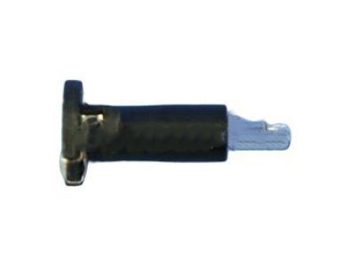 Dodge 68191740AA BULB AND SOCKET Heater and A/C Control Auxiliary Control