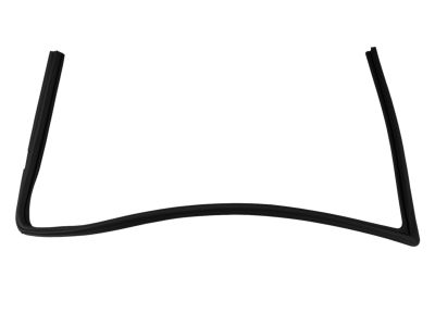 Mopar 5074560AF Weatherstrip Front Door Glass