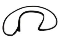 Mopar 5065153AB Weatherstrip Front Door Mounted Door Mounted Mopar 5065153AB Weatherstrip Front Door Mounted Door Mounted