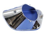 Mopar 68110962AB Fog Lamp Bezel, Front Passenger Side