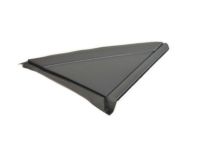 Mopar 1AN68RXFAB Applique, Black, Front Passenger Side