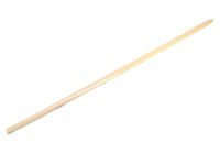 Mopar 5189394AB Body Side Molding, Front Passenger Side