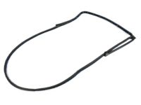 Mopar 55112363AC Weatherstrip Rear Door Mounted