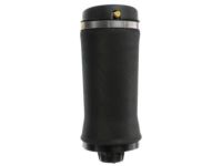 Mopar 68029912AF Air Spring, Rear