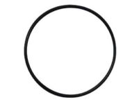 Mopar 68005261AA O - Ring Extension