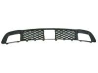 Mopar 68143102AC Lower Grille, Front Center