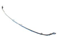 Mopar 68203029AB Upper Molding, Front