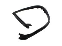 Mopar 4575891AD Running Front Door Glass