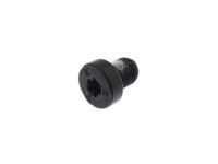 Mopar 6036496AA Retractor Assembly Lower Bolt, Front