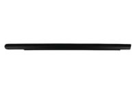Mopar 4806001AE Weatherstrip Rear Door Belt Outer
