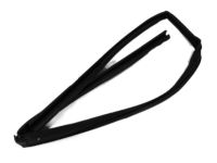 Mopar 4894928AF Channel Front Door Glass