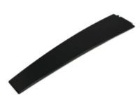 Mopar 57010427AD Applique B Pillar Front