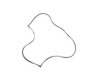 Mopar 5103584AA Molding, Front