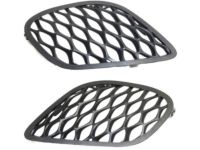 Mopar 68280493AA Lamp Cover, Front Driver Side