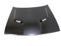 Mopar 68259671AC Hood Mopar 68259671AC Hood