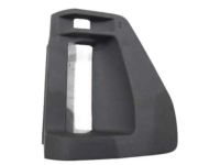 Dodge Grand Caravan Door Handle - 1CU64XDVAD Bezel, Passenger Side
