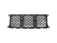 Mopar 68264286AB Grille, Front Center