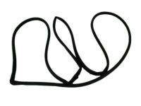 Mopar 4717720AA Door Weatherstrip, Front Outer Passenger Side Mopar 4717720AA Door Weatherstrip, Front Outer Passenger Side