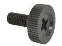 Mopar 6511203AA Latch Screw, Inner Driver Side