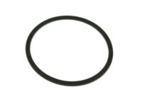 Mopar 4781172AB Water Pump Seal, Front