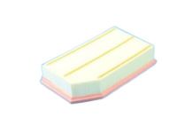 Mopar 68257030AA Air Filter