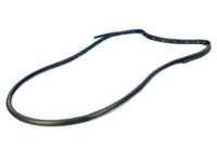 Mopar 55399214AD Weatherstrip Rear Door Opening Mounted To The Door