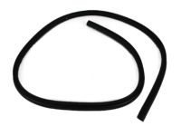 Mopar 55363160AB Weatherstrip Liftgate Glass
