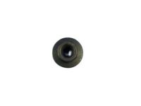 Mopar 6101443 Bezel Nut, Rear Outer