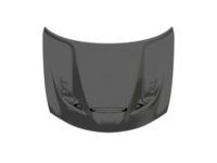 Mopar 68265428AA Hood