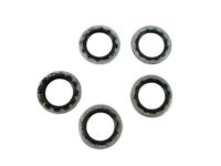 Mopar 68002992AA Filter Assembly Washer