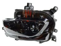 Mopar 68102846AE Headlamp Assembly, Black Bezel, Front Passenger Side