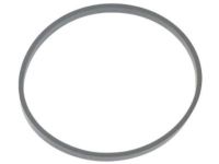 Mopar 53021661AA Oil Filter Housing Seal, Outer
